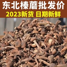 2023榛蘑东北野生蘑菇榛蘑干货特级小鸡炖蘑菇无根榛蘑丁新货