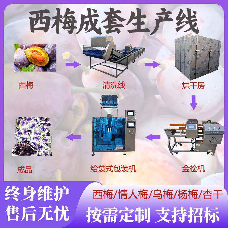 商用小型果脯生产线全套西梅乌梅杨梅杏干生产设备全自动生产设备