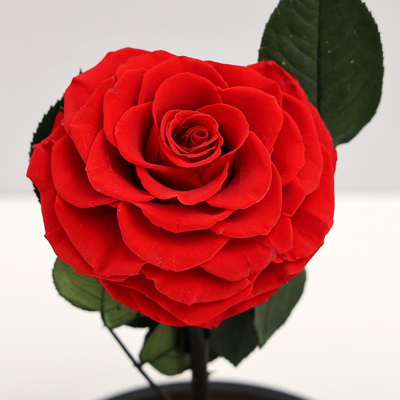 生日礼物女生00130情人节礼盒玻创意永生生花璃罩小王子永玫瑰花