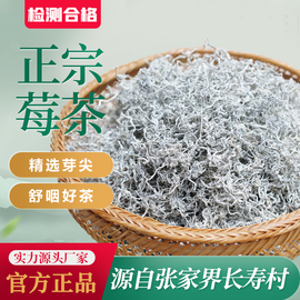 茅小叶莓茶张家界龙须芽尖霉茶湘西永顺土家莓茶恩施藤茶