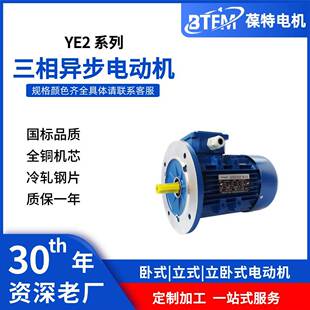 水泵配套铝壳电机供应 YE2全系列380V节能三相异步电动机