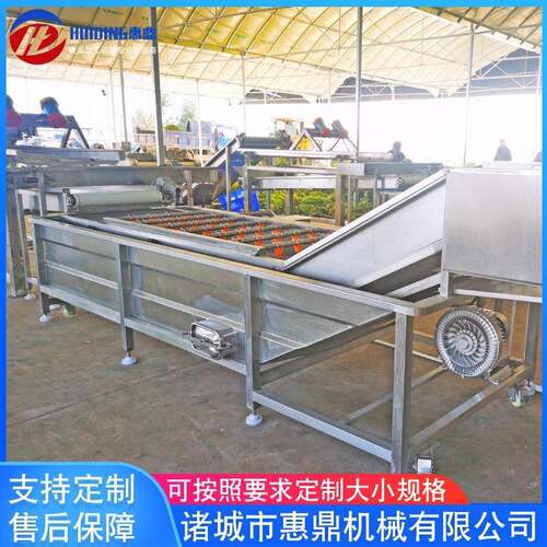 供应红辣椒清洗机设备全自动果蔬清洗机喷淋式气泡清洗机
