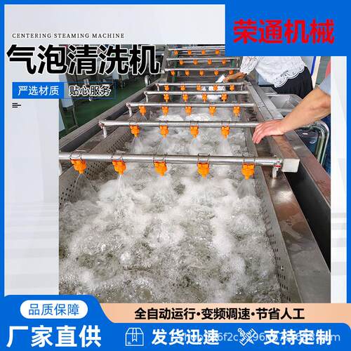 大型升降式气泡清洗机香菇辣椒瓜果蔬菜清洗设备果蔬连续清洗机