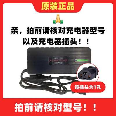 自动断电澳羽电动电瓶车充电器48v30ah60V20Ah72v20Ah三轮车通用