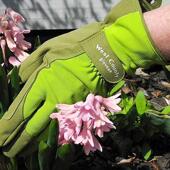 TOWA花艺师园林园艺种花专用手套防刺防扎玫瑰月季 防割耐磨护手