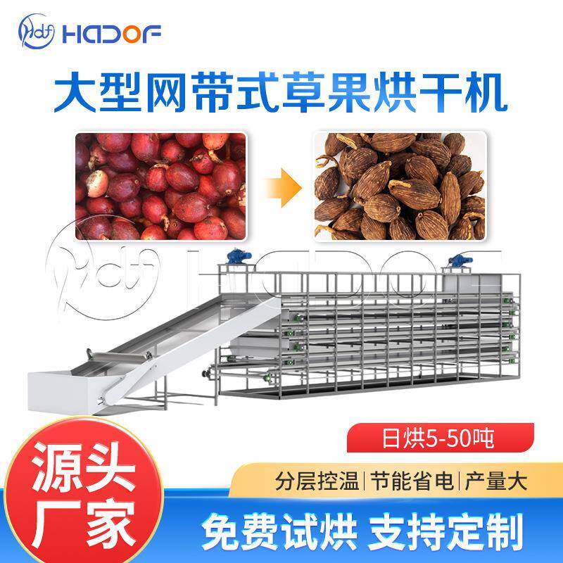 连续式加工果蔬药材食品烘干机中药材快速脱水设备草果网带烘干机