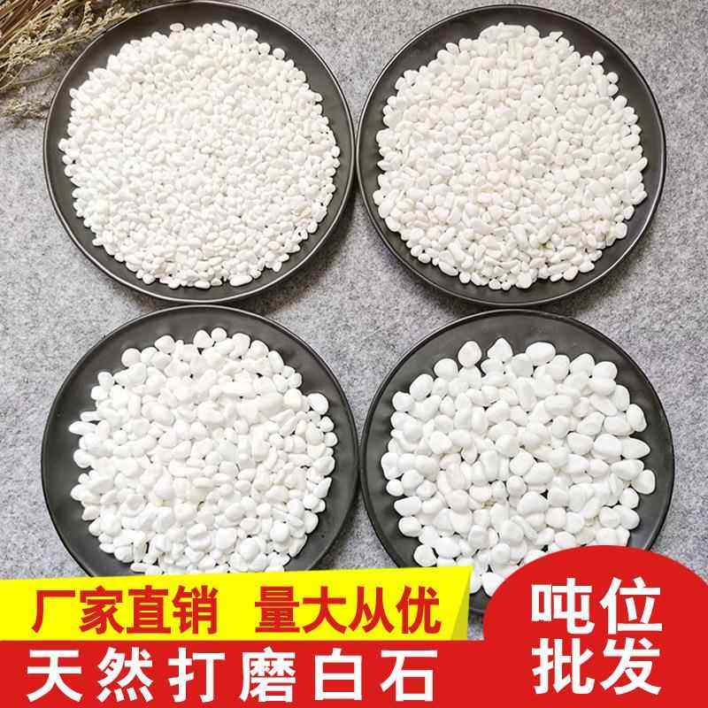 小白石子大鹅卵石多肉铺面白色石头花盆庭院装饰白玉石雪花白