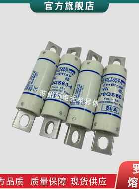 快速熔断器/保险丝A100P400-4TIA100P500-4A100P500-4TI现货t
