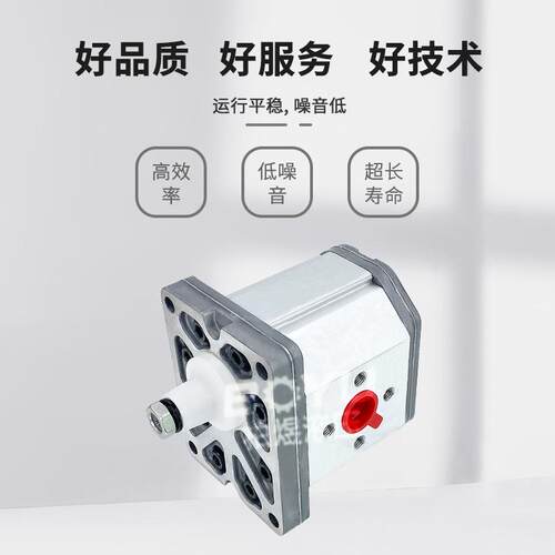 意大利马祖奇齿轮泵 ALP系列单联液压外啮合齿轮泵小型电动液压泵