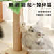 猫抓板蹭痒去浮毛耐磨不掉屑抓柱转盘麻绳爪板幼猫逗猫宠物用品