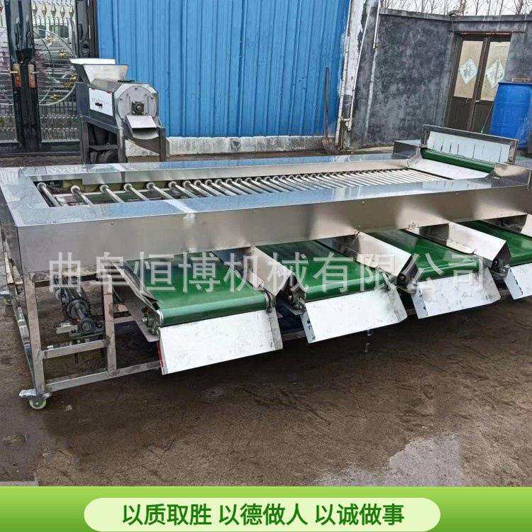 工业贝贝瓜分选机 商用桃子筛选设备 大型不锈钢果蔬滚杠筛选机