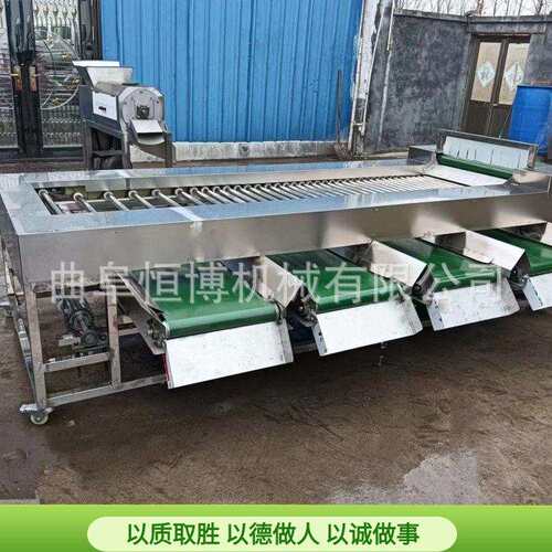 厂家商用山楂红枣分拣机 多功能雪梨选果机 工业马铃薯筛选机