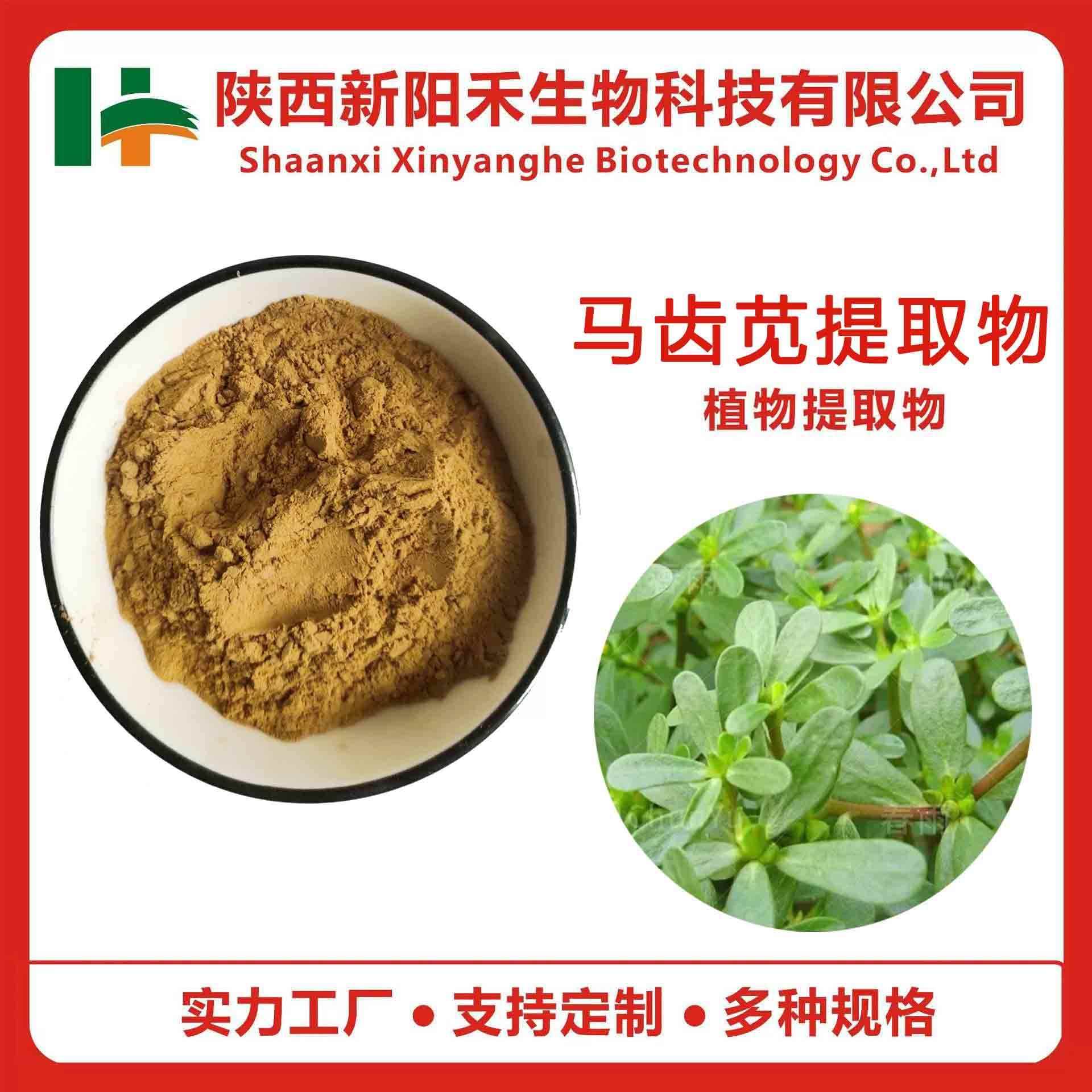 马齿苋提取物马齿笕皂甙马齿苋粉马齿苋皂苷粉马齿苋皂甙粉