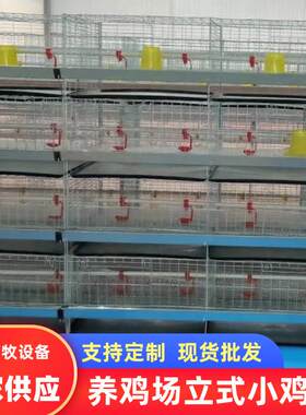 镀锌雏鸡笼育雏笼4层一体立式鸡笼土鸡公鸡鸽笼小鸡育雏笼养殖