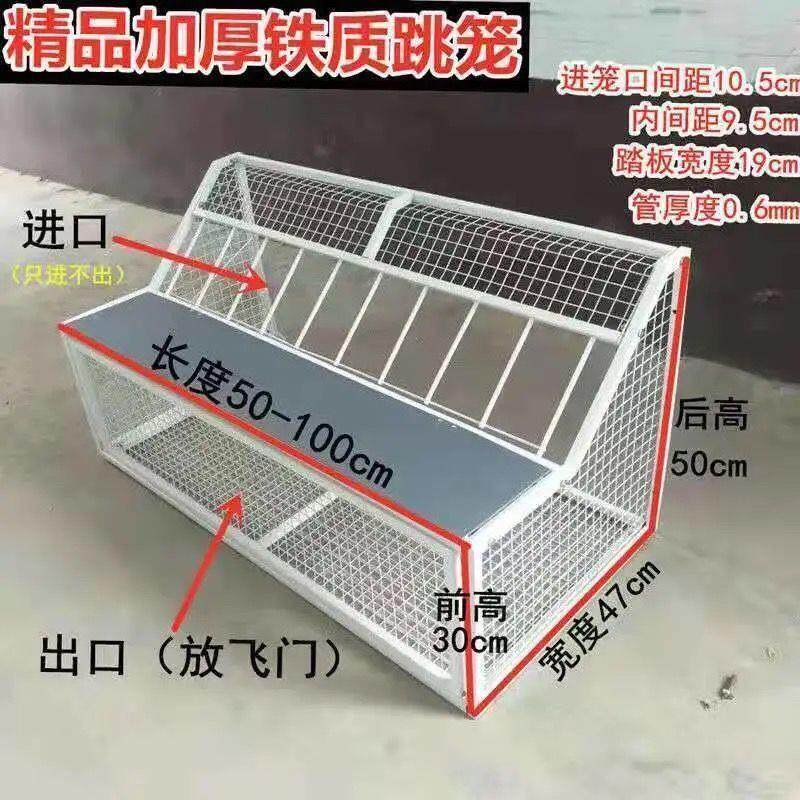 鸽子跳笼鸽子放飞门跳笼进笼门撞门跳笼铁质跳笼鸽具信鸽用品用具