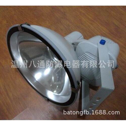 ZT6900防水防尘防震投光灯，圆形投光灯，金卤灯400w，河北投光灯