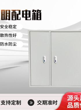 广东深圳照明配电箱户外防水不锈钢电源箱双开门开关总控箱配电柜