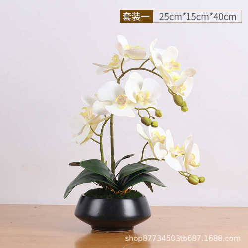 所奢大堂蝴蝶兰酒店样板房别墅前台仿真轻新花会花艺摆件中式兰花
