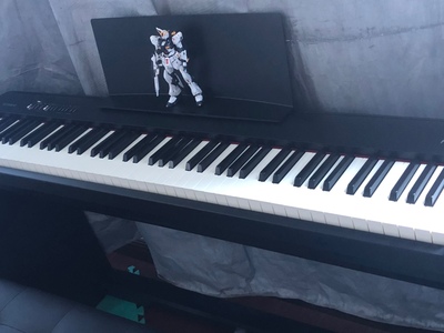 Roland罗兰电钢琴FP30怎么样用后一周极度失望了是吗?