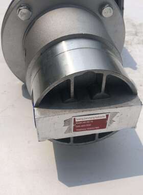 LB-BB6/BB10/16/25/32/20双向摆线齿轮油泵带电机BBS-16/10/6/25