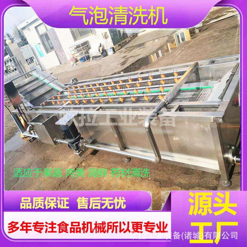 生姜去泥高压喷淋清洗设备现货豆角清洗设备不锈钢气泡清洗机