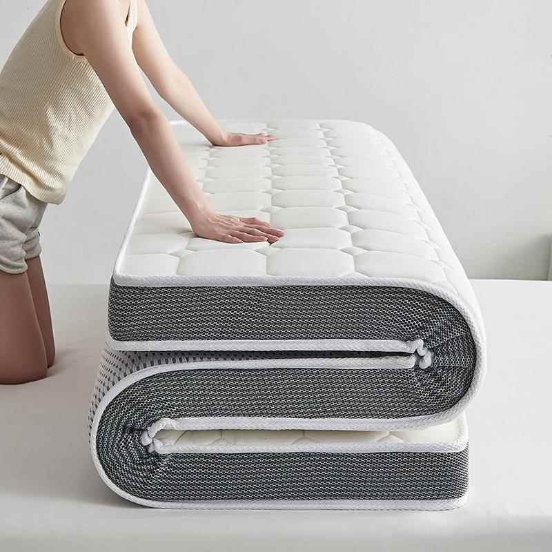 乳胶床垫软垫家用睡垫学生宿舍单人租房专用榻榻米记忆海绵铺地垫