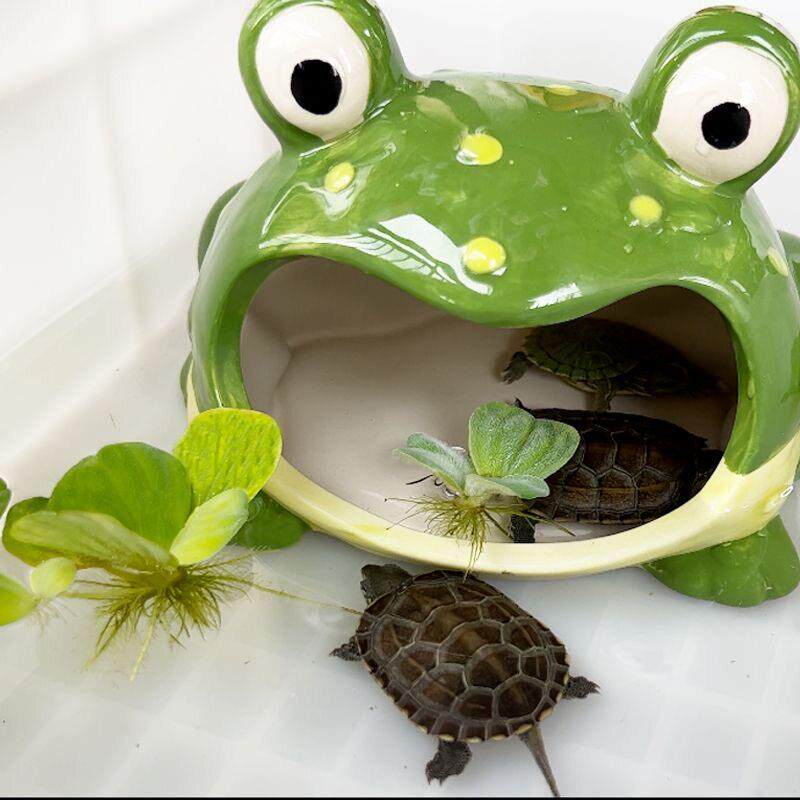 大嘴蛙洞穴乌龟躲避屋青蛙窝角蛙宠物仓鼠寄居蟹蜘蛛爬虫爬宠造景