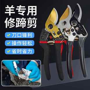 羊蹄剪刀修羊蹄子羊用剪羊蹄修蹄剪养羊专用工具修蹄钳用品修蹄刀