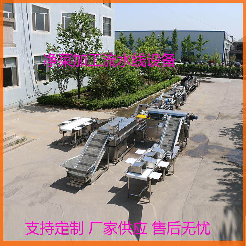 现货供应洋姜清洗机免费提供技术维护自动清洗效