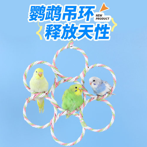 鹦鹉爬行玩具玩具鸟类造景装饰