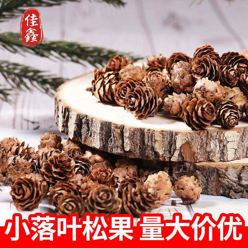 松果小落叶松果工DIY工艺品手工吊灯挂价装饰品道具华北松花