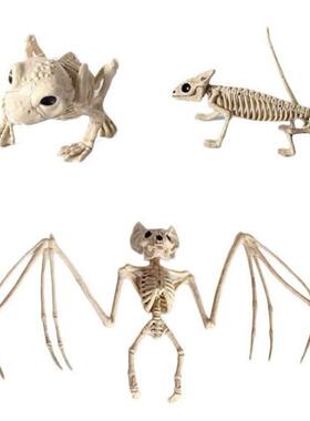 Halloween Skull Bat spider scorpion animal skeleton skull