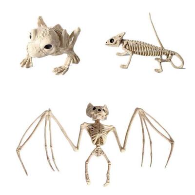 Halloween Skull Bat spider scorpion animal skeleton skull