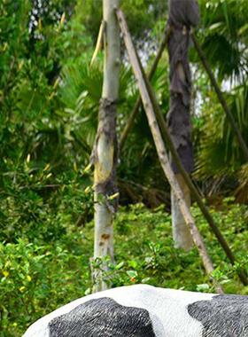 彷真动物奶牛模型玻璃钢雕塑工艺品农场花园林景观装饰品户外摆件