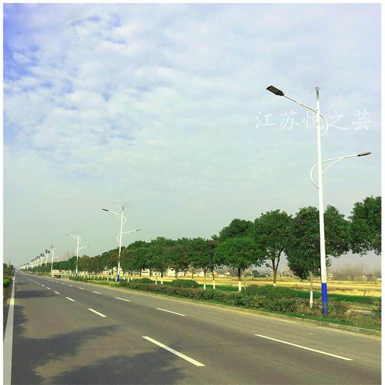 高低双臂路灯杆平行臂LED路灯头米8米0米光1YZY-SC-226米1双头道