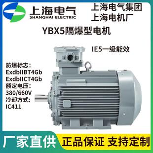 YBX5防爆三相异步电机IE5三级能效支持B3/B5/V1/B35安装