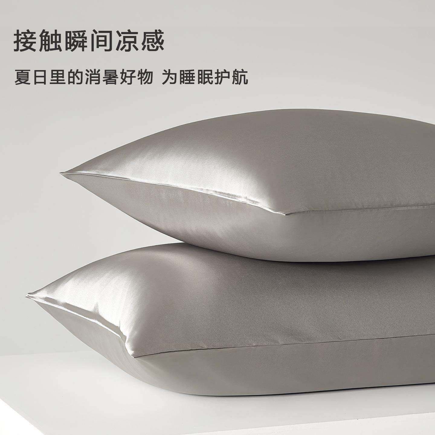 一对装夏季水洗真丝枕套凉感冰丝枕头套家用枕芯内胆套48cmx74cm
