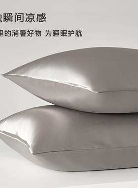 一对装夏季水洗真丝枕套凉感冰丝枕头套家用枕芯内胆套48cmx74cm
