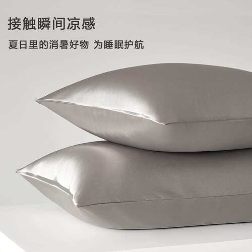 一对装夏季水洗真丝枕套凉感冰丝枕头套家用枕芯内胆套48cmx74cm