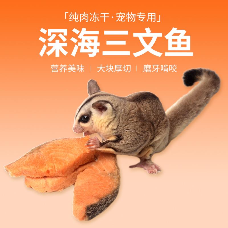 宠物零食冻干三文鱼蜜袋鼯磨牙零嘴仓鼠金丝熊花枝鼠营养互动食物