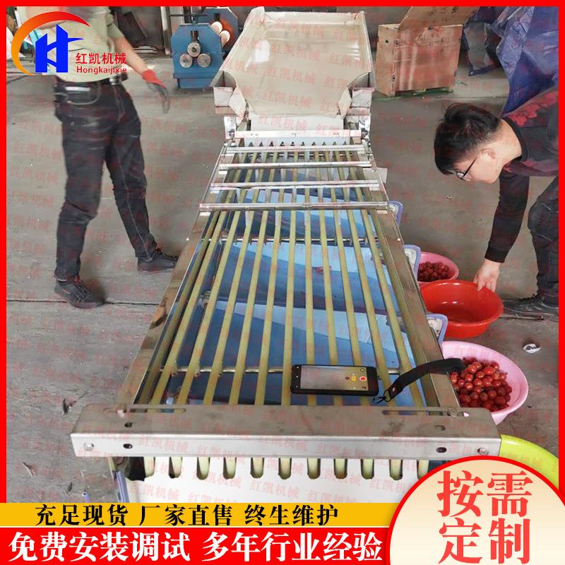 厂家供应轨道式拉汗果分级机 全自动核桃分选机 土豆水果分级机