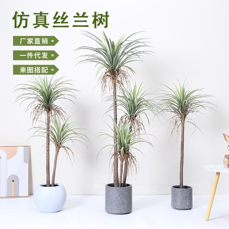 仿真植物丝兰树假树盆栽大型凤尾龙舌兰酒店造景装饰摆件仿真绿植