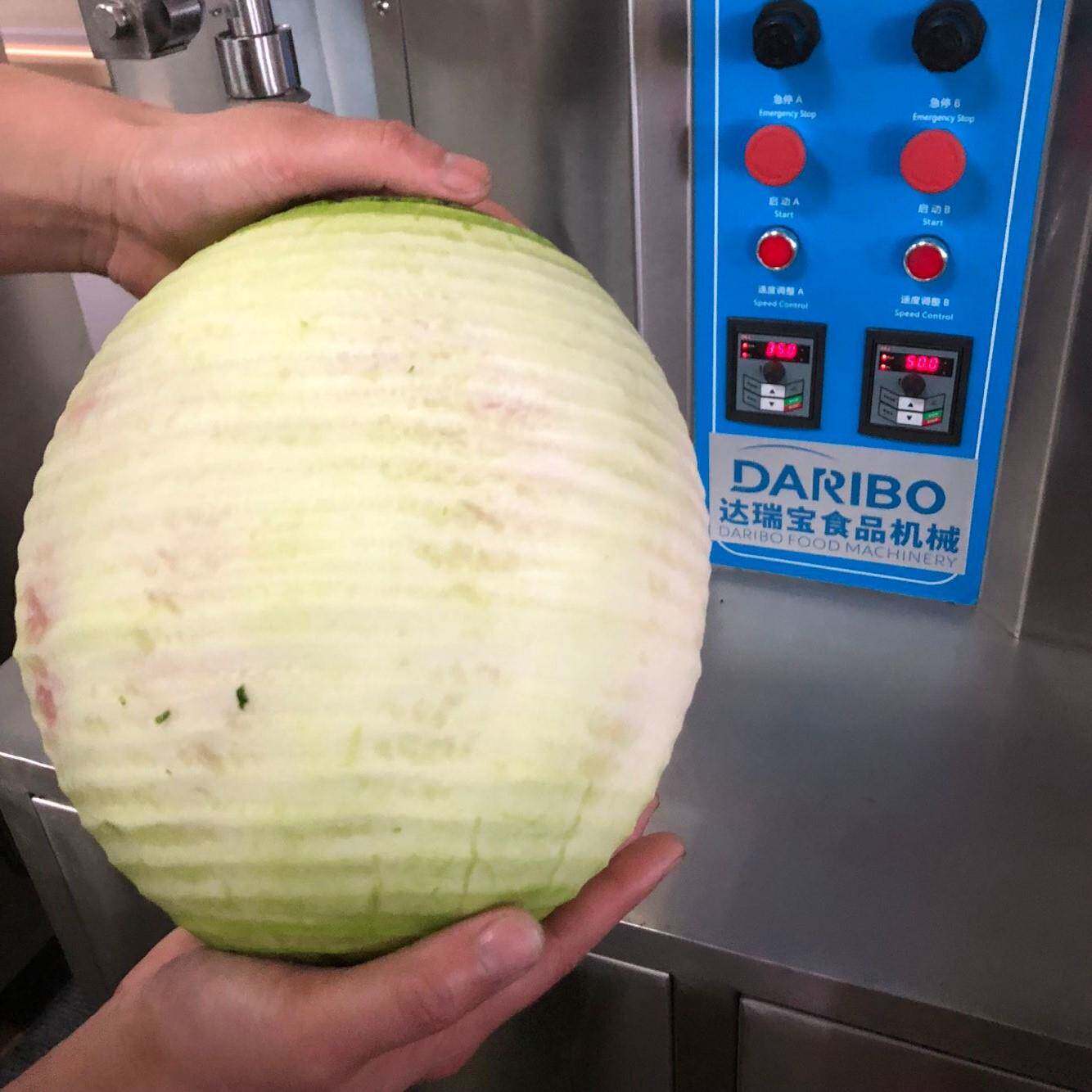 *罐头厂水果削皮机 菠萝蜜凤梨哈密瓜刨皮机 柚子香瓜去皮设备