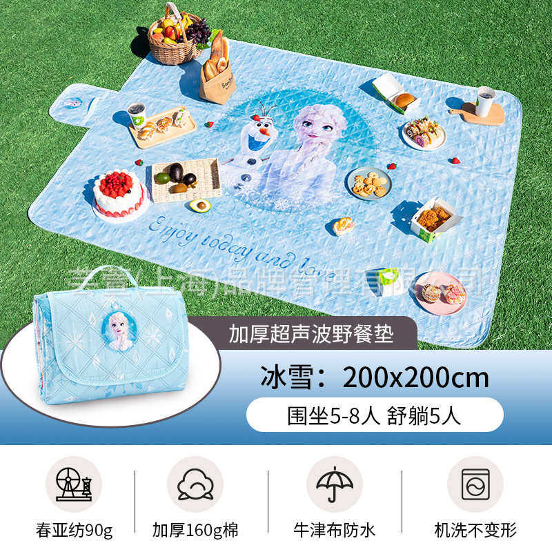 儿童防草坪郊游户外野炊垫郊游露营野餐防潮垫春游垫子水地