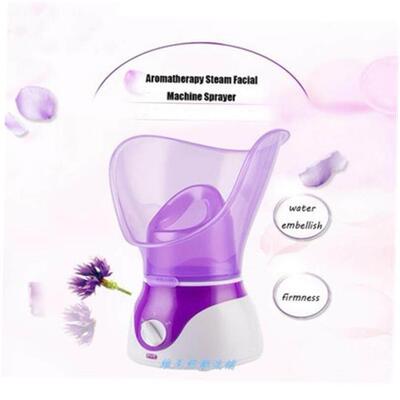 facial steam steamer hot spray steaming face instrumen蒸脸器