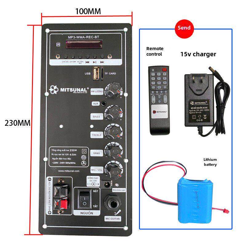 6英寸8英寸10英寸12英寸电池拉杆音频放大器板12V主板蓝牙高功率