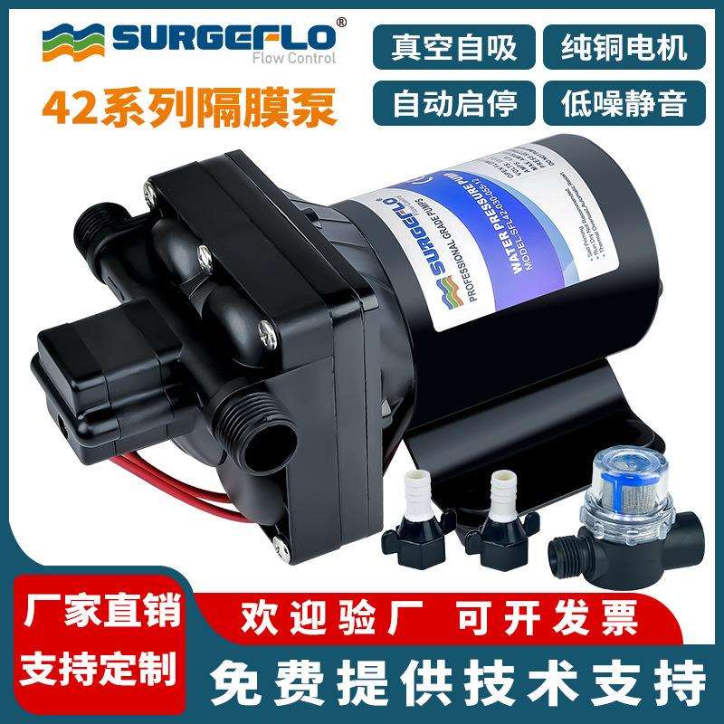 42款电动隔膜泵房车游艇直流12V24V灌装机自吸式增压抽吸水泵