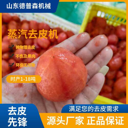 全自动多功能西红柿葡萄去皮设备蒸汽加热芋头洋葱脱皮机