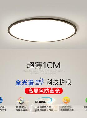 圆形卧室灯主卧客厅灯护眼吸顶灯简约现代极简房间灯黑色led灯具