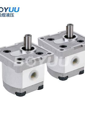 台湾新鸿HGP-1A-F-01-R-X-4BDA-P1齿轮泵用于工农业 质量有保障